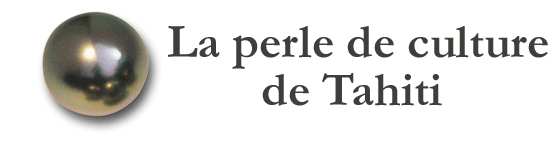 A Tahiti, la perle noire se fait rare, très rare - Polynésie la 1ère